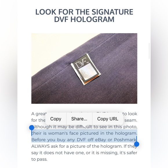 Diane Von Furstenberg Gray Leather Chain Shoulder Crossbody Handbag - Picture 5 of 16